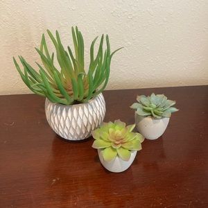 World Market succulents! Not damaged at all